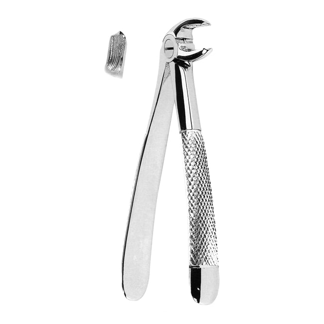 Extracting Forceps Extracting Forceps