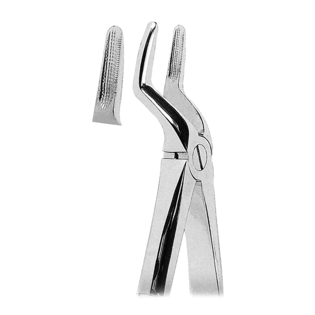 Extracting Forceps Extracting Forceps