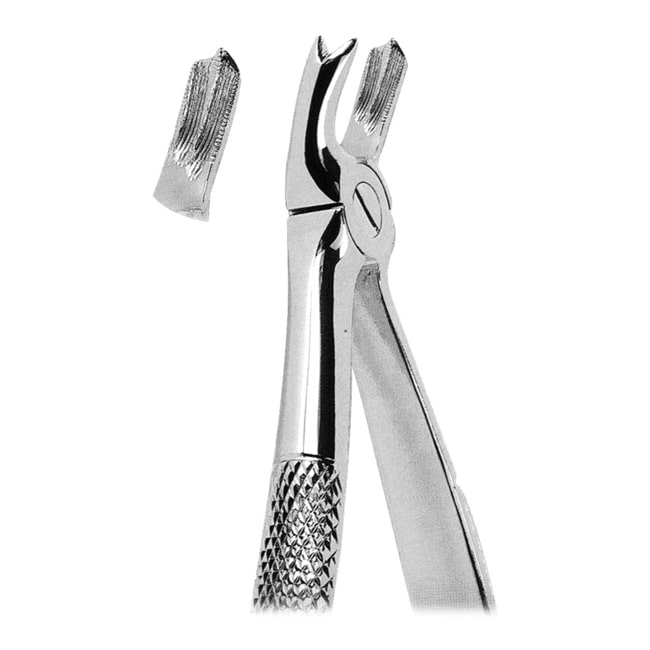 Extracting Forceps Extracting Forceps