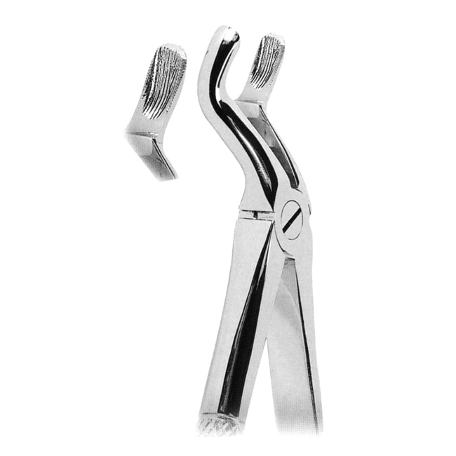 Extracting Forceps Extracting Forceps