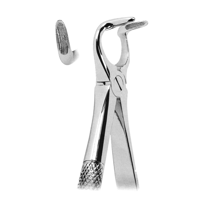 Extracting Forceps Extracting Forceps