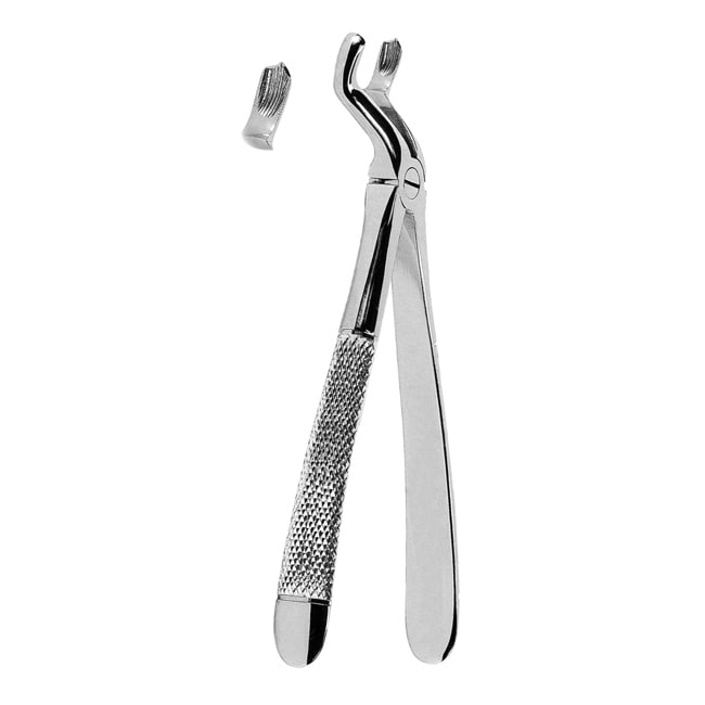 Extracting Forceps Extracting Forceps