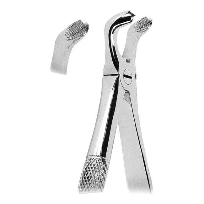 Extracting Forceps Extracting Forceps