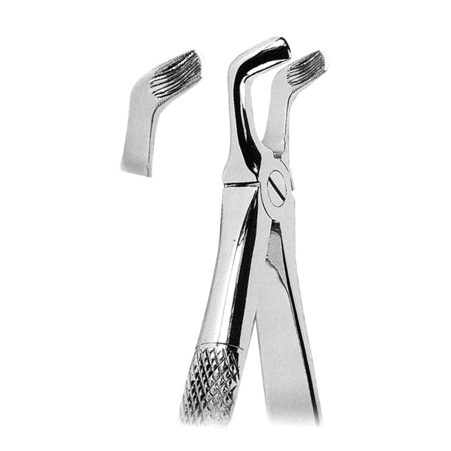 Extracting Forceps Extracting Forceps