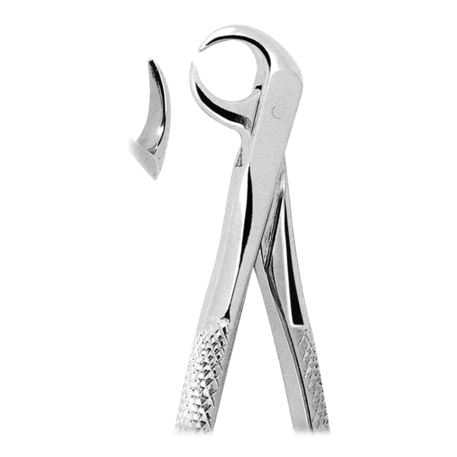 Extracting Forceps Extracting Forceps