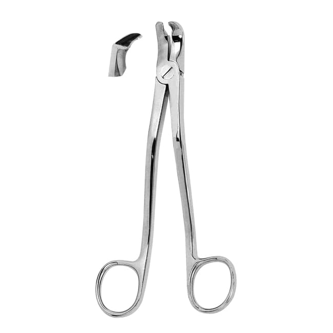 Extracting Forceps Extracting Forceps