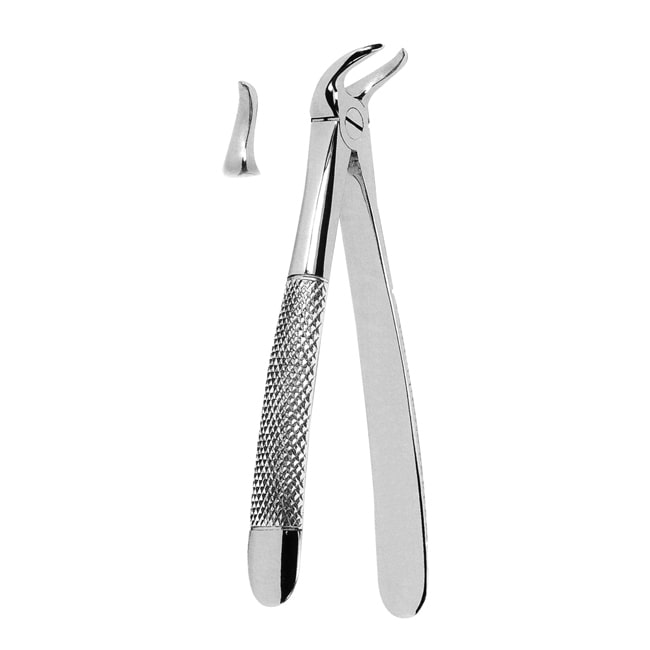 Extracting Forceps Extracting Forceps