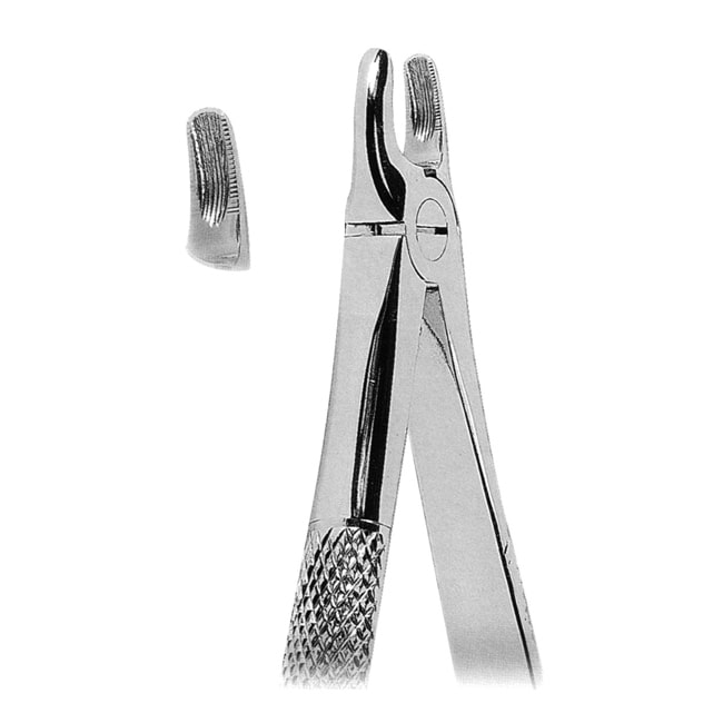 Extracting Forceps Extracting Forceps