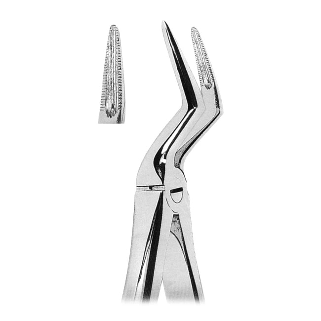 Extracting Forceps Extracting Forceps