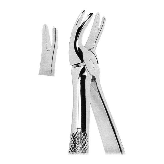 Extracting Forceps Extracting Forceps