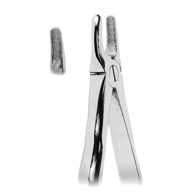 1091 Fig 2-minExtracting Forceps with Anatomically Shaped Handle Extracting Forceps with Anatomically Shaped Handle