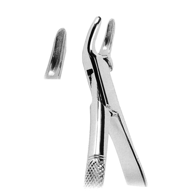 Extracting Forceps American Pattern Extracting Forceps American Pattern