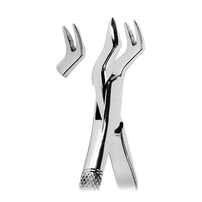 Extracting Forceps American Pattern Extracting Forceps American Pattern