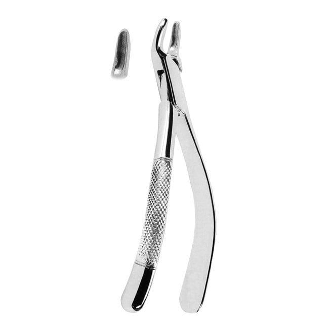 Extracting Forceps American Pattern Extracting Forceps American Pattern
