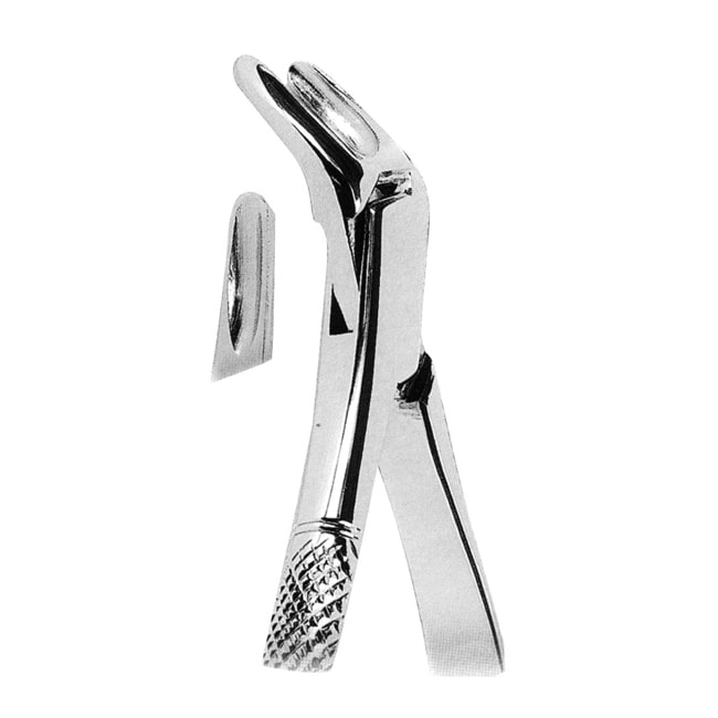 Extracting Forceps American Pattern Extracting Forceps American Pattern