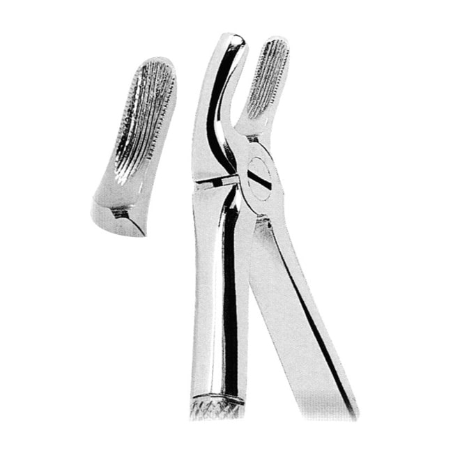 Extracting Forceps For Children Extracting Forceps For Children