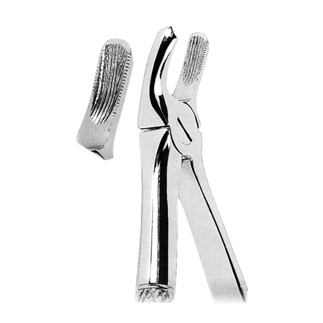 Extracting Forceps For Children Extracting Forceps For Children