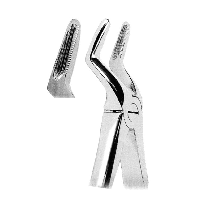 Extracting Forceps For Children Extracting Forceps For Children