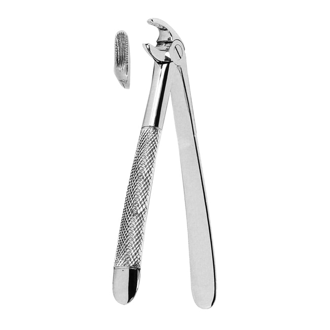 Extracting Forceps American Pattern Extracting Forceps American Pattern