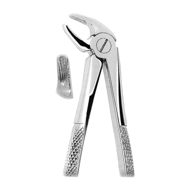 Extracting Forceps American Pattern Extracting Forceps American Pattern
