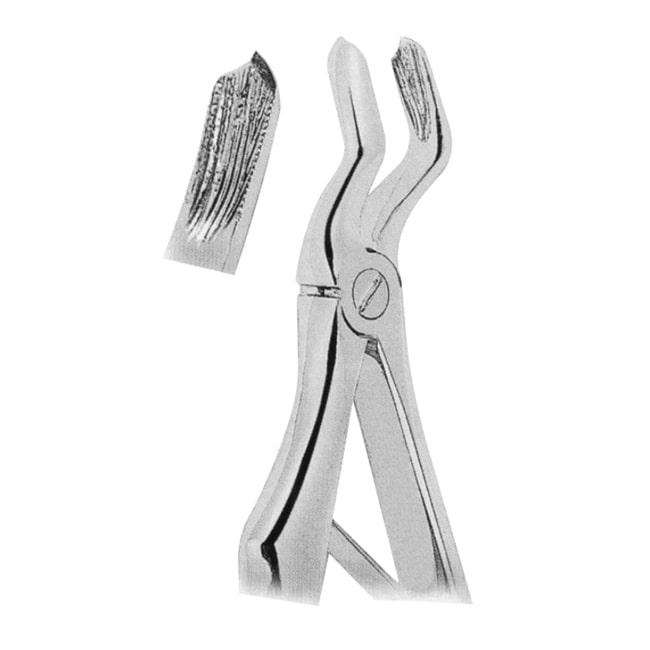 Extracting Forceps For Children- Klein Pattern Extracting Forceps For Children- Klein Pattern