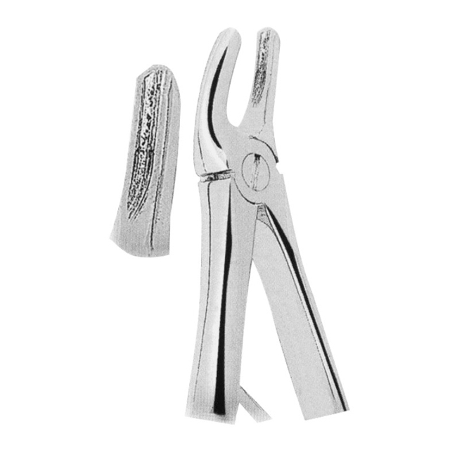 1144 Fig 2 Extracting Forceps For Children- Klein Pattern - Image 1