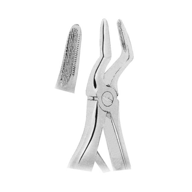 Extracting Forceps For Children- Klein Pattern Extracting Forceps For Children- Klein Pattern
