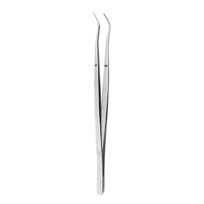 Cotton & Dressing Pliers Cotton & Dressing Pliers