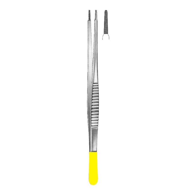 TC Dissecting Forceps TC Dissecting Forceps