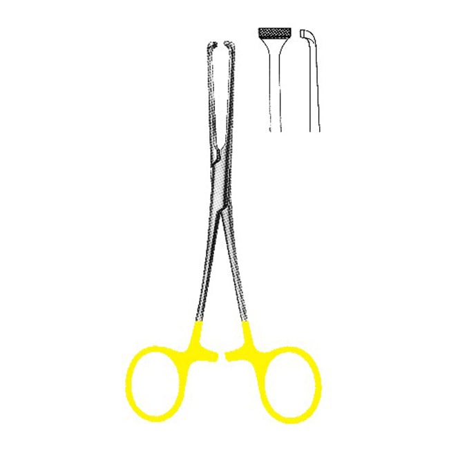 TC Dissecting Forceps TC Dissecting Forceps