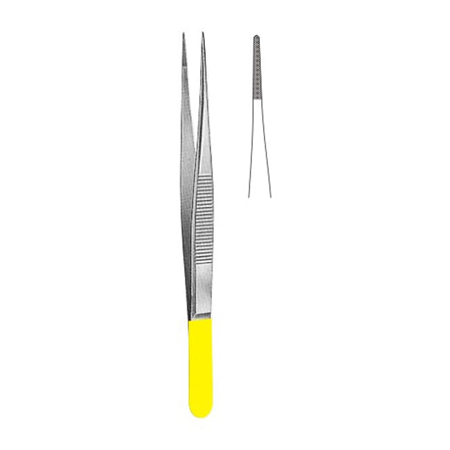 TC Dissecting Forceps TC Dissecting Forceps