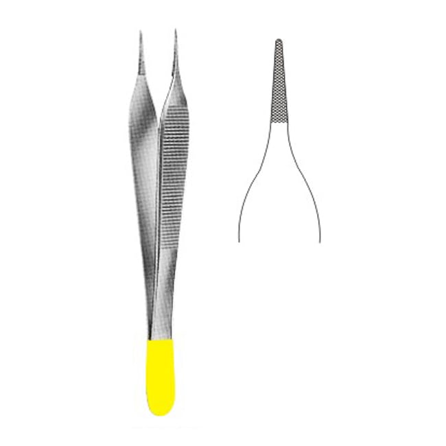 TC Dissecting Forceps TC Dissecting Forceps