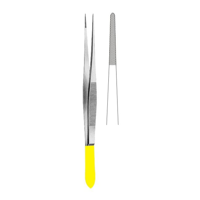 TC Dissecting Forceps TC Dissecting Forceps