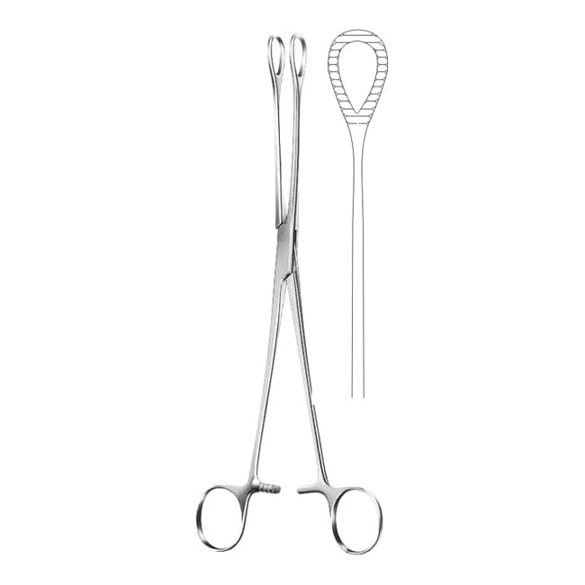 Sponge Holding Forceps Sponge Holding Forceps
