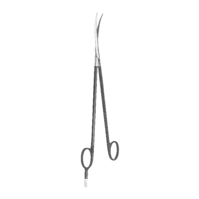 Urology Urology