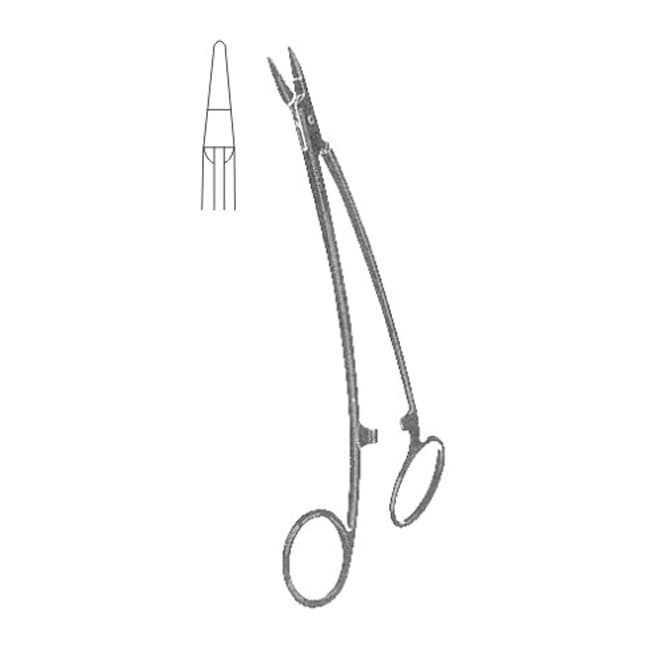 Urology Urology
