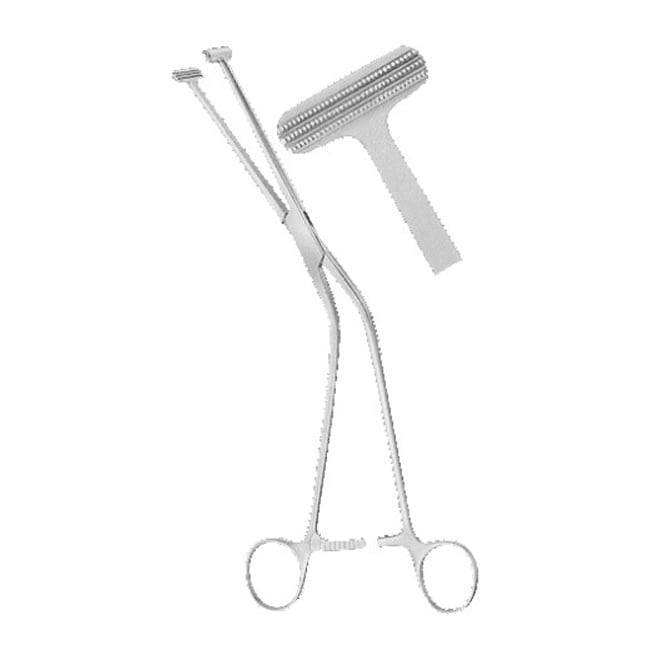 Urology Urology